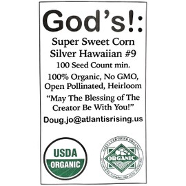 USDA, Organic, Silver, Hawaiian #9, Super, Sweet Corn, Heirloom, Open Pollinated, Non GMO