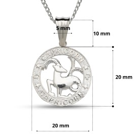 Zodiac Sterling Silver Horoscope Sign Necklace Pendant Capicorn