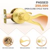 Probrico Interior Door Handle Passage Door Handle Lever Gold Door
