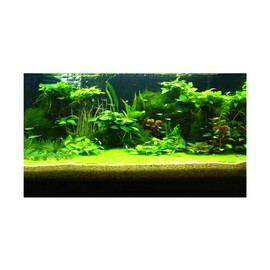 PENKOHOME 3D Prints Aquarium Underwater Backdrop Image Decor Fish Tank Background Poster for Aquarium Fish Tank