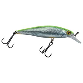 Illex Squad Minnow 95 SP Wobbler 14g Floating RT Visible Roach