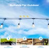 NEREUS String Light Hanging Kit with 164 Ft Vinyl Coated
