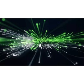 MycoLabs Myco Labs All in One Mushroom Grow Kit in a Bag (4 Lbs)