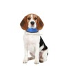 Karlie Cooling Bandana Fresk, Small, 15 to 30 cm