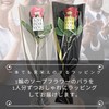 3world SW1840 Rose, Soapflower, One Piece, Petite Gift, Non-Withering, Bouquet,