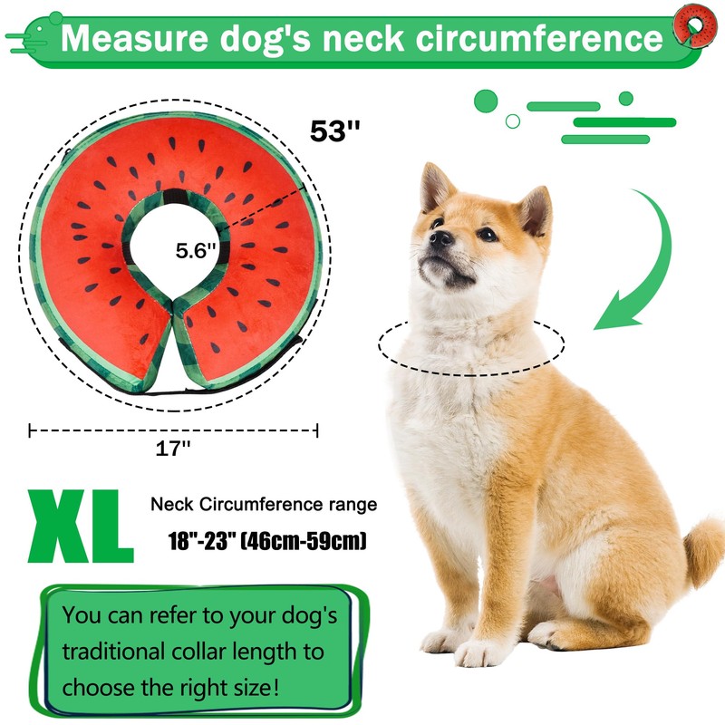 Recovery Donut Collar for Dogs & Cat,Inflatable Dog Collar Alternative