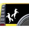 EZ-STIK Mirrored Horse StandingJ360 8 inch Tall 2 Stickers Decals
