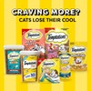 Temptations MixUps Catnip Fever Flavor Crunchy & Soft Cat Treats,