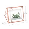 Umbra Prisma Picture Frame, 4x6 Metal Photo Display for Desk