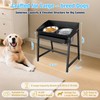 Bobbie & Laxi 15" Tilted Elevated Dog Bowl, Spill-Proof with