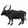 Collect A Wild Life Wild Water Buffalo Toy Figure