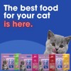 Formula Raw Freeze-Dried Raw Cat Food - Duck & Beef