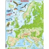 Larsen K70 Europe Physical Map Italian Edition Frame Puzzle with