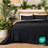Ivy Union Full Comforter Set - Comfy, Breathable, All Season