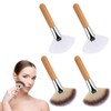 Soft Bristle Highlighting Blush Brush, 4Pcs Facial Fan Brush Esthetician