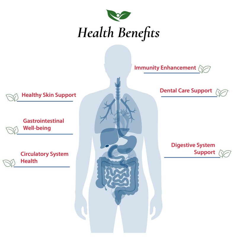 Foods For Gut Lactobacillus Reuteri Probiotic Powder 75 Billion cfu's