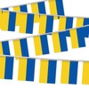 32FT Small Ukraine Pennant Flag Bunting,30 PCS Mini String Banner