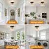 Helitemis 1-Light Vintage Semi Flush Mount Ceiling Light, Black and