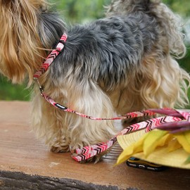 azuza Dog Collar and Leash Set, Fun Patterns, Adjustable Nylon Collar with Matching Leash for Small Medium and Large Dogs