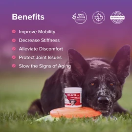 Integricare Joint Supplement for Pets - Hip and Joints Supplement for Dogs - with Glucosamine, Msm Powder, Chondroitin, and Hyaluronic Acid for Dogs and Cats, 300g