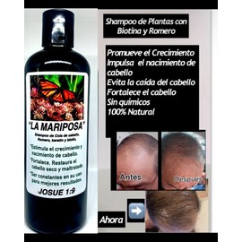 Shampoo De Cola De Caballo, Romero  Aloe Vera  Crecimiento  De Cabello  16 Onzas