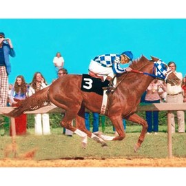 SPORTSPHOTOSUSA Secretariat 1973 Preakness Stakes Triple Crown Champion Horse Racing 8x10 Photo, 331603565924