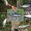 10pcs/lot Hard Minnow Lure Baits 3D Fish Eyes Laser Line