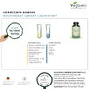 Cordyceps Sinensis Vegavero® | 650 mg (10:1) CS-4 Extract 40%