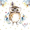Flower Owl Napkin (Pack of 20)