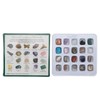 20pcs Rock Stone Colletction Kit for Boys Girls Exquisite Science