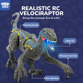 STEAM Life Remote Control Velociraptor Dinosaur Toy for Kids – Realistic RC Dino with Sounds, Lights & Walking Action – Rechargeable Raptor Toy for Boys & Girls