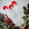 G-Box 50 Empty Christmas Candy Cane Tubes with Red Topper