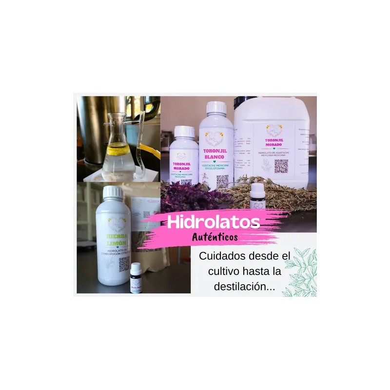 Hidrolato De Toronjil Morado