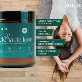 LANDA Extracto en Polvo de Melena de León Orgánico 100g Orgánico 10:1 Potente Apoyo Cognitivo Neuroprotector Mejora Memoria Concentración Salud Nerviosa Libre de Aditivos
