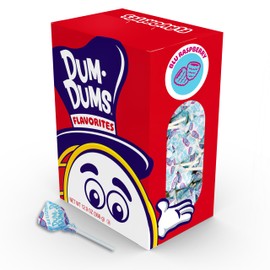 Dum Dums Blu Raspberry Lollipops - Bulk Candy Box with Lollipops Individually Wrapped, Single Flavor Gourmet Suckers - 50 Count