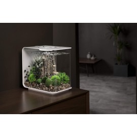 biOrb Flow 15 Acrylic 4-Gallon Aquarium with Multi-Color Remote-Controlled LED Lights Modern Compact Tank for Tabletop or Desktop Display, Black
