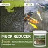 LMJP Muck Reducer - 1LB Natural Sludge Solution Tablets for