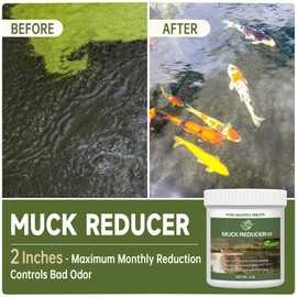 LMJP Muck Reducer - 1LB Natural Sludge Solution Tablets for Ponds & Lakes, Away Muck & Odor Control, Safe for Aquatic Life, Wildlife & Recreation, Treats Up to 6,000 Sq Ft