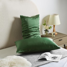 Silk Pillowcase for Hair and Skin Mulberry Silk Pillowcase Soft Breathable Smooth Both Sided Natural Silk Pillowcase with Zipper Beauty Sleep Silk Pillow Case 1 Pack for Gift(Queen,Green)
