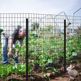 FOREHOGAR Metal Fence Post Black 4.8 feet, Pack of 8, T Post for Wire Fence, No Dig Steel U Post Fencing for Lawn Garden Wire Mesh Fence Poles Sign Outdoor Light Duty