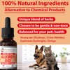 Petastical Allergy Aid for Dogs, Antihistamine for Cats, Allergy Relief,