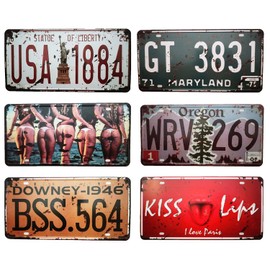 VIEAURA American License Plate [Set of 6] Vintage Antique Retro American Miscellaneous Goods Interior Signs (TYPE-4)