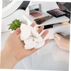 PACKOVE 50pcs Eye-Shaped Lash Mapping Sponges for Accurate Eyelash Extension