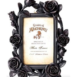 Alchemy Gothic - - Coup de coeur - Cadre Photo Rose & Vine Black frame