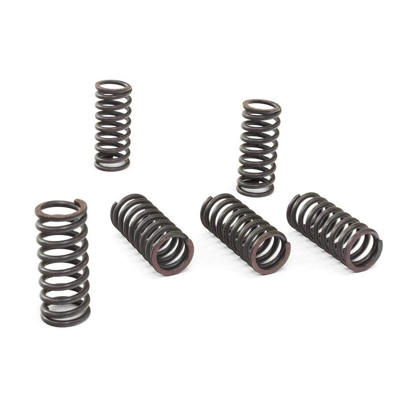 EBC Clutch Spring Kit CSK029