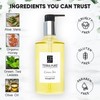 Terra Pure Shampoo, Retail Size Hotel Amenities, 10.14 oz. (Single)