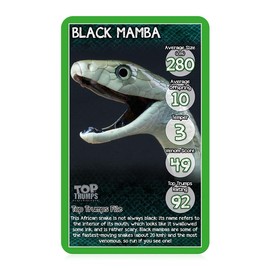 Top Trumps - Snakes Card Game WM01605-EN1-6