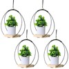 Toyosport 4 Pcs Plant Hanger with Wood Base, Hanging Window