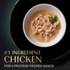Sheba Selections Filets in Broth, Adult Cat Food Wet Recipe,