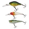 Berkley Pulse Hard Bait Packs, Fishing Hook, Hard Lures, PredatorFishing,